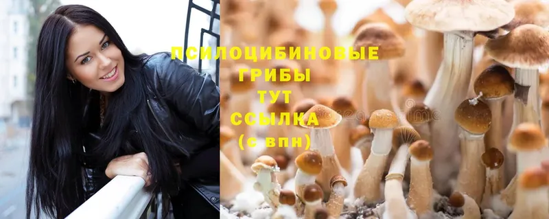 Псилоцибиновые грибы Magic Shrooms  купить наркотики сайты  Данков 